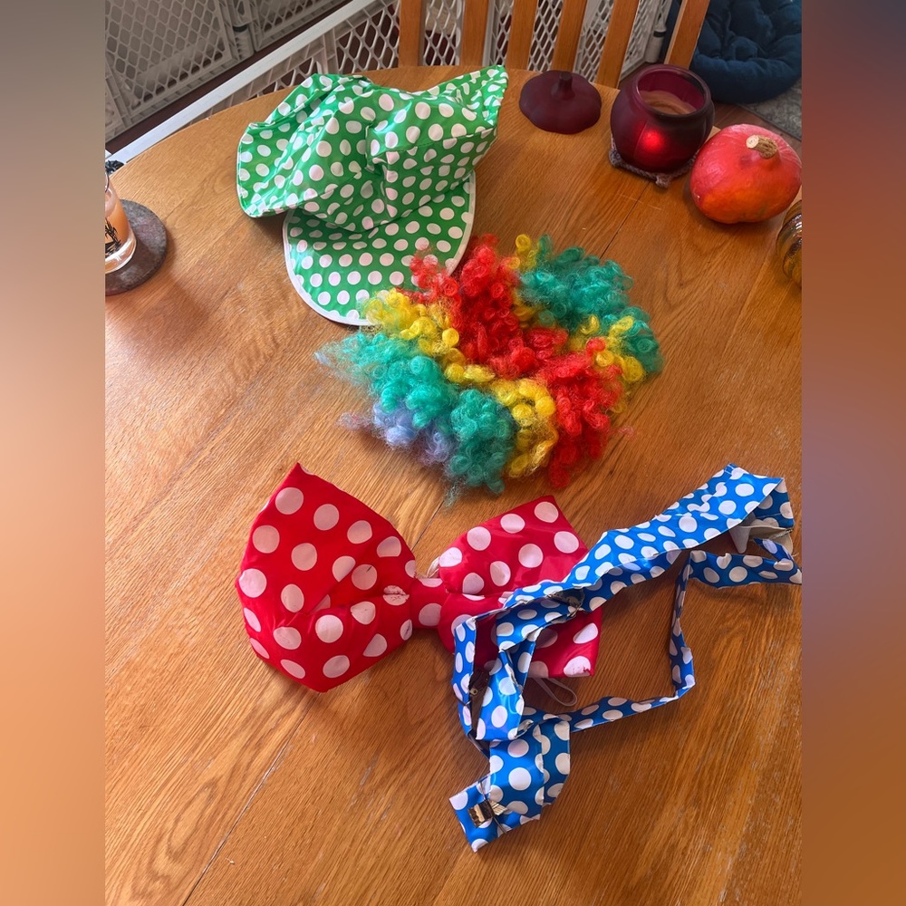 Clown Halloween Costume